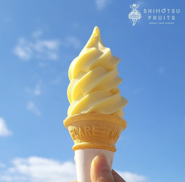 【JAF和歌山】「道の駅 海南サクアス」でソフトクリーム100円引!