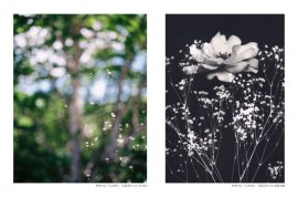 共同写真展参考作品「FLOWER」左:写真学科4年 JIA NAN、右:写真学科4年 髙橋 桃夏 共同写真展参考作品「FLOWER」左:写真学科4年 JIA NAN、右:写真学科4年 髙橋 桃夏