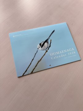 シマエナガカレンダー2026表紙 シマエナガカレンダー2026表紙