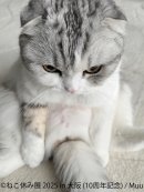 ねこ休み展 展示作品:Muu ねこ休み展 展示作品:Muu