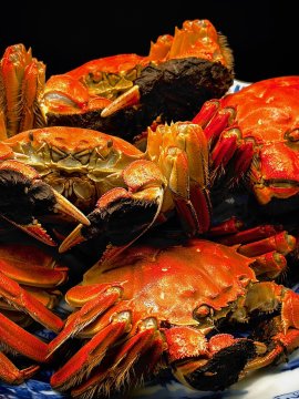 鮮度抜群の上海蟹