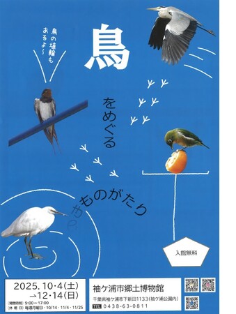 【千葉/袖ケ浦】企画展II「鳥をめぐる物語」を開催します！