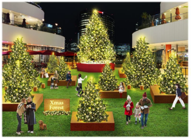高さ8ｍのモミの木を中心に複数のツリーが登場「横浜ベイクォーター クリスマスイルミネーション」11月1日（土）～12月25日（木）毎日開催！