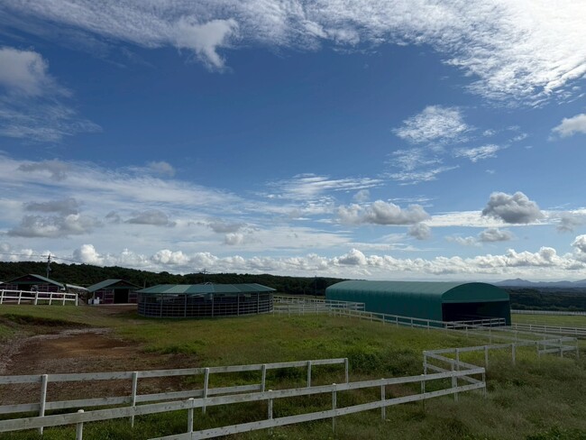 A.W Owners Club で「那須・アスコットファーム見学会」を実施！会員様と共に、所属馬の管理施設を視察
