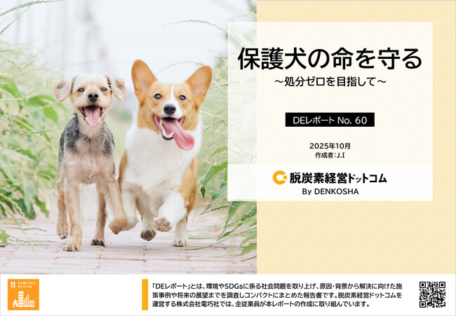 保護犬の命をつなぐ社会へ。犬と人の未来に向けた実態をレポート