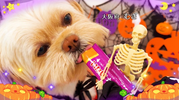 いなばペットフード　お待たせしました、わんちゃん篇！いなば「Wanちゅ～る」ハロウィンTVCM動画 第一弾を公開！