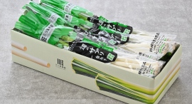 妊活女性・妊婦さんの必須栄養素「葉酸」もたっぷり!ビタミンCも豊富な栄養機能食品のネギ「畑のサプリ」が、テスト販売を経て正式発売 妊活女性・妊婦さんの必須栄養素「葉酸」もたっぷり!ビタミンCも豊富な栄養機能食品のネギ「畑のサプリ」が、テスト販売を経て正式発売
