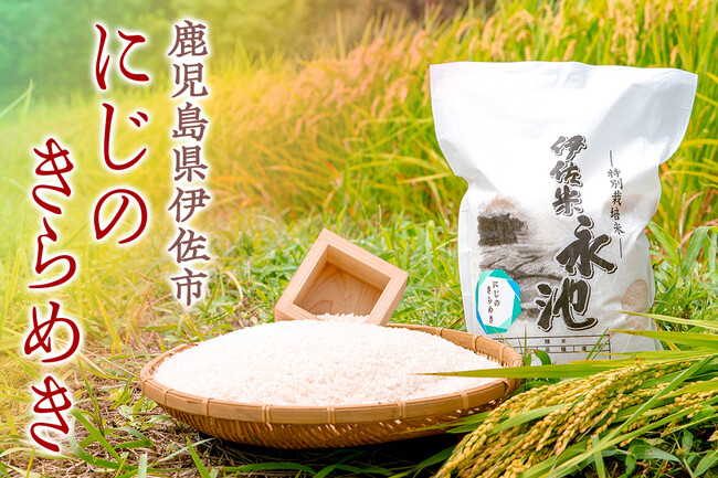 【鹿児島県伊佐市】注目のお米！「にじのきらめき」がふるさと納税に登場　令和7年産新米の受付開始
