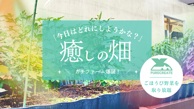 【畑、爆誕！？】EC通販会社のオフィス敷地に“ガチすぎる”完全無農薬の畑が出現！採れたて野菜は社員なら誰でも「取り放題」。その狙いとは？