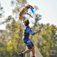 《入場無料》秋の那須ガーデンアウトレットで、愛犬と1日中楽しもう！現役世界チャンピオンによる「ディスクドッグパフォーマンス」をはじめ、わんちゃんと一緒に“楽しむ時間”が盛りだくさん！with Dogs club主催による「第2回 Happy！ ワンDays フェスタ」開催！