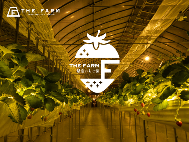 【房総の新スポット】年間33万人が訪れる農園リゾートが手掛ける「THE FARM星空いちご園」が2025年12月13日（土）オープン。 各メディアで話題の