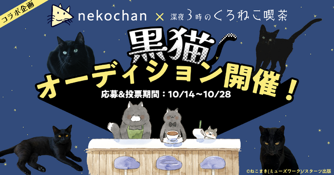 WOWOW発の猫だけのライブ配信アプリ「nekochan」×コミック『深夜3時のくろねこ喫茶』コラボ企画【黒猫オーディション】10月14日(火)より開催！