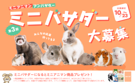 ミニバサダー大募集! ミニバサダー大募集!