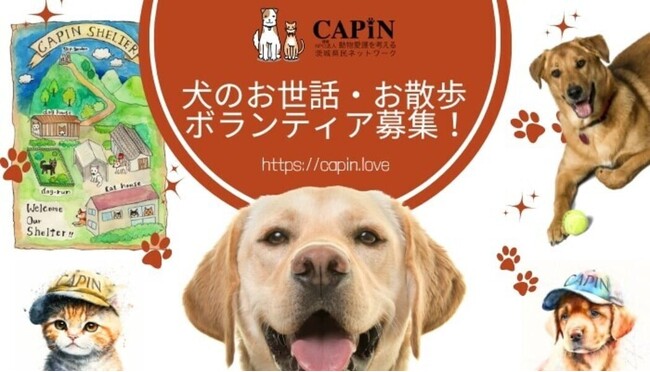 茨城県のNPO法人CAPIN、犬のお散歩ボランティア新規募集