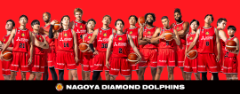 NAGOYA DIAMOND DOLPHINS NAGOYA DIAMOND DOLPHINS
