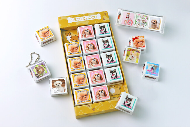 犬の日（11月1日）に向けて「DECOチョコ犬フェス」開催。動物愛護支援ができる寄付金付き商品などを期間限定発売