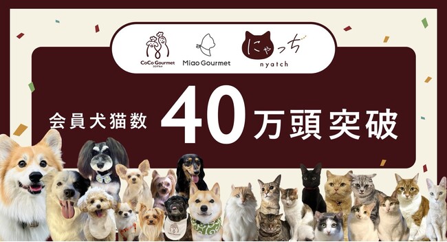 ココグルメ・ミャオグルメの会員犬猫数が40万頭を突破！愛猫向け無添加ピューレ「にゃっち」好調で猫会員は216%増。