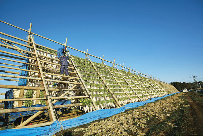 『伝統のやぐら干し・産直大根ぬか漬けたくあん』が「2025年度グッドデザイン賞」を受賞しました