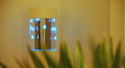 【石川県限定】オフィス・医療・飲食店に“癒し”を。人工クラゲ水槽の無料導入相談を受付（〜11/30〈日〉）｜想芸館