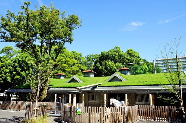 板橋区立こども動物園がグッドデザイン賞を受賞!