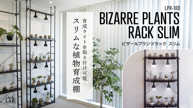 【壁面緑化】床から天井まで植物で埋め尽くそう！奥行き20cmスリム×大容量なつっぱり植物ラックが発売