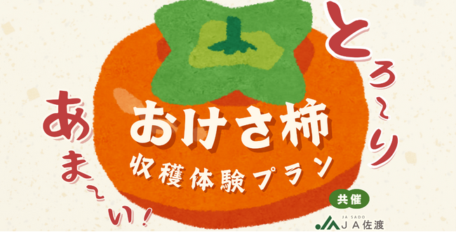 【佐渡汽船】JA佐渡と連携した「おけさ柿　収穫体験プラン」発売