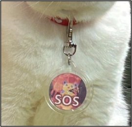 実際の装着イメージ写真