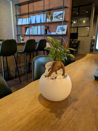 会社員という働き方に、息苦しさを感じているあなたへ。株式会社ノエルが、未経験から月収100万円のサブスク収入を目指せる観葉植物レンタルFC『ノエルグリーン』の加盟募集を開始