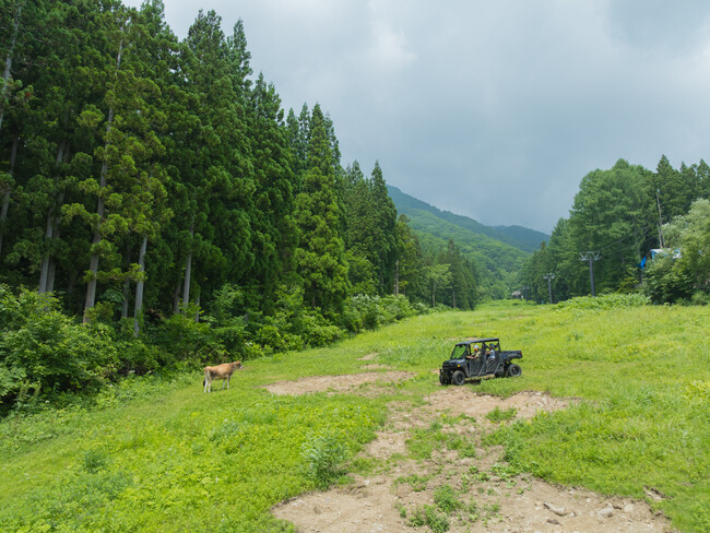30年ぶり！「令和のラム肉祭りウィーク」を10月25日より限定開催特別ルートでユネスコ無形文化遺産を巡る「バギークルーズ」も運行予定