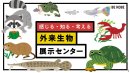 外来生物