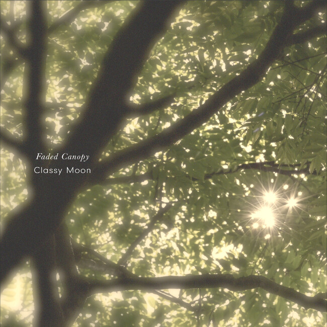 「Faded Canopy」──森の静けさが、あなたの“考えごと”をやさしく止める。音がそっと、心のスイッチをOFFにする夜。