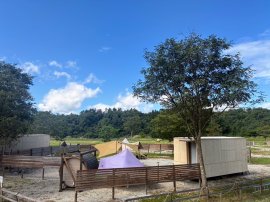 自然豊かなグランピングサイト 自然豊かなグランピングサイト