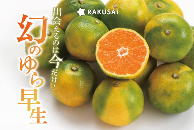 みかんシーズン到来！香川県産『ゆら早生みかん』が期間限定で登場