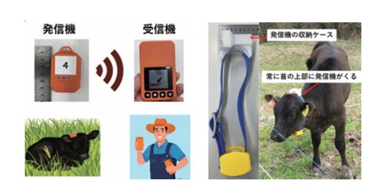 放牧牛のスマートな管理に、ココヘリの技術を応用