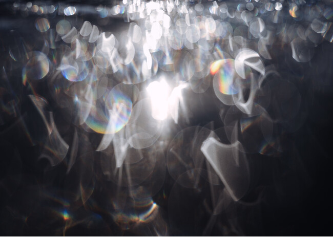 THE GALLERYセレクション展 広谷 勇樹 写真展 「羽化、環の狭間にたゆたう」を開催
