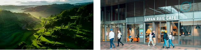 「いきたいまち とおかまち 新米フェア」を開催!