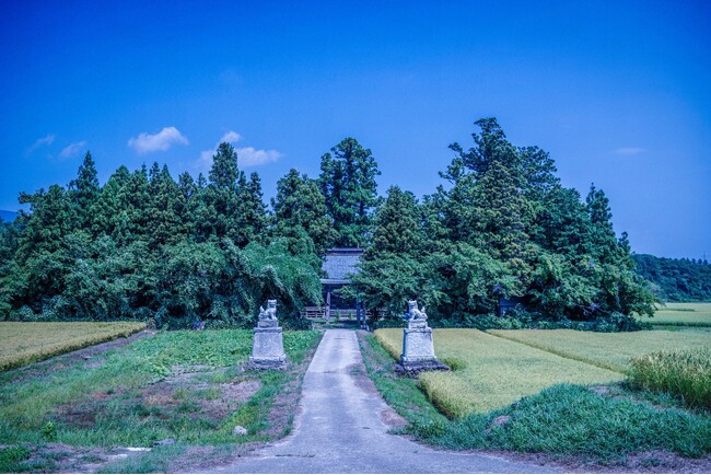 【さどの島銀河芸術祭 2025】公式音声ガイドをON THE TRIPが制作