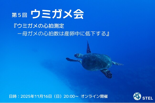 悠久の時を生きる、大海原の旅人の不思議を一緒に探ろう! 「ウミガメ会」11月16日(日)オンライン開催
