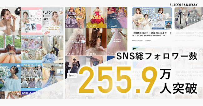 【総フォロワー数254.8万人突破】TikTokで2,500名応募！ブライダル向けSNS採用広報プランアップデートのお知らせ