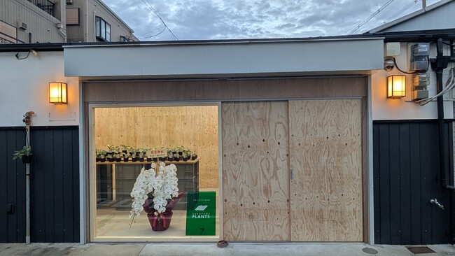 スキンダプサス専門店「Nakayama Plants」、東大阪に実店舗をオープン