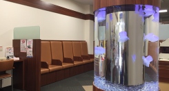 【静岡県限定】オフィス・医療・飲食店に“癒し”を。人工クラゲ水槽の無料導入相談を受付（〜11/30〈日〉）｜想芸館