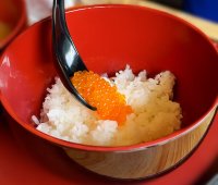 ニジマスの採卵と生しぼりイクラ丼を味わう、親子や友人と楽しめるイベント　滋賀県醒井養鱒場で11月22日開催