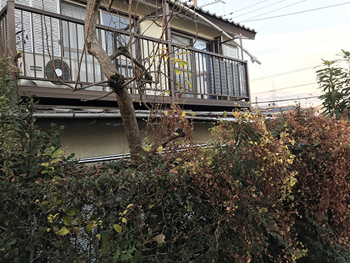空き家投資の醍醐味「空き家・古家物件見学ツアーin船橋エリア」10月25日（土）12:00 ～開催