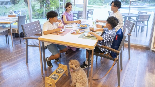 下田プリンスホテル　外来利用者向け、3ヵ月有効のお得なパスで海もカフェも楽しめる「ワンだふるパス」が新登場