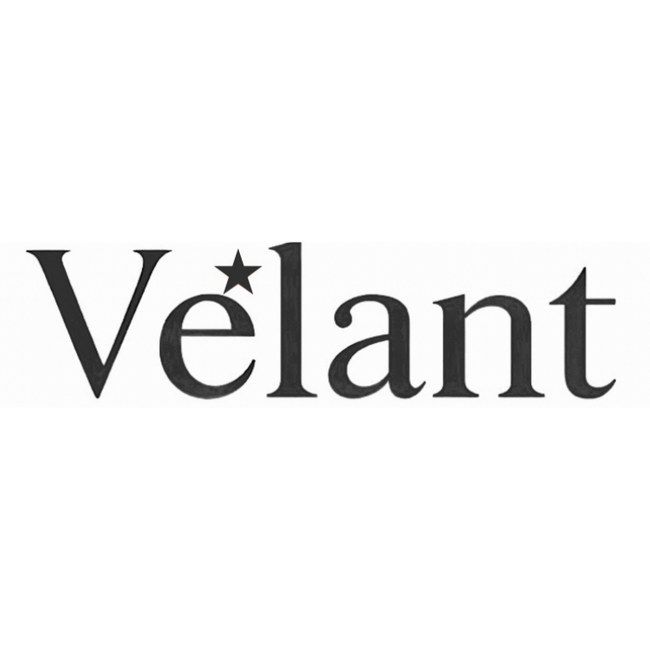 DSDS株式会社、代表取締役を交代し、Velant株式会社へ