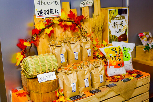 【北海道洞爺湖温泉/ザレイクビューTOYA乃の風リゾート】SELECT108 秋のおすすめご紹介