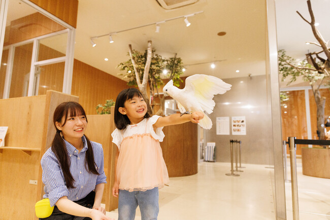 ふれあい、学び、つながる体験を。　11月6日(木)甲子園に『Moff animal cafe』グランドオープン！