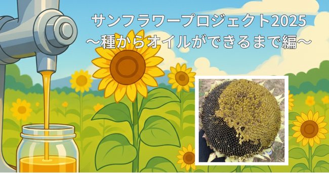 【舟橋村】サンフラワープロジェクト2025～種からオイルができるまで編～