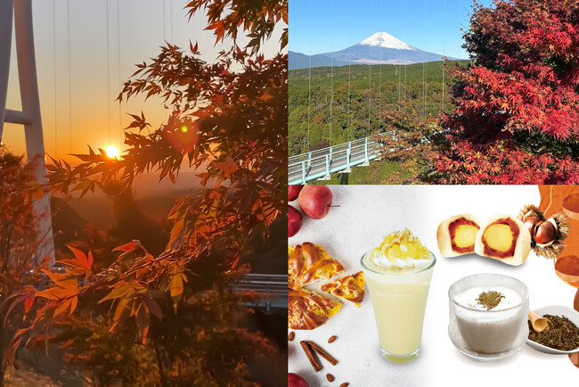紅葉ドライブに最適！箱根・伊豆・熱海から約30分の絶景スポット　三島スカイウォークで“空に浮かぶ紅葉”「空紅葉（そらもみじ）」が見頃に