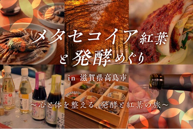 鮮やかな紅葉と発酵文化に触れながら、心と体を整える旅『メタセコイア紅葉と発酵めぐり in 滋賀県高島市』12月9日(火)開催！